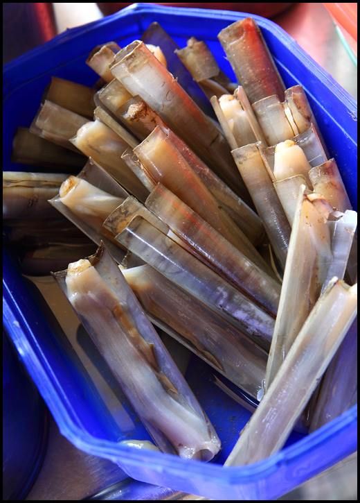 bamboo-clams