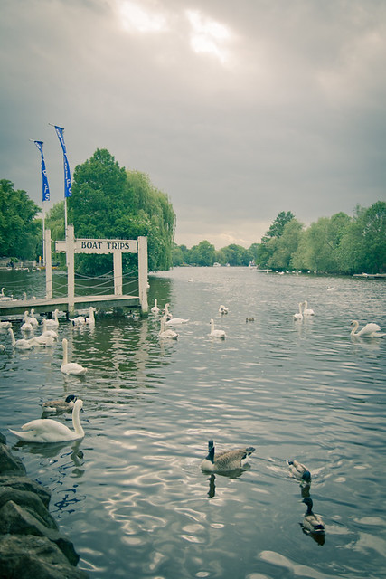Thames River, Windsor
