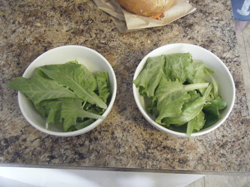 Salad Greens from Aerogarden