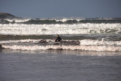 Surfing at cloudy bay