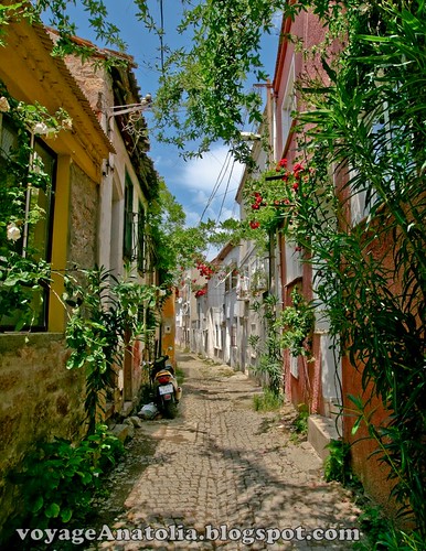 Old Ayvalik Street by voyageAnatolia