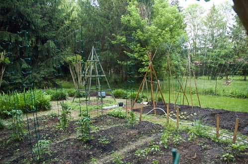 The garden, fully planted