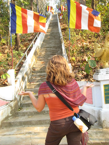 "Refuses to climb" aka Lboogie unhappy at the towering staircase - Krati, Cambodia
