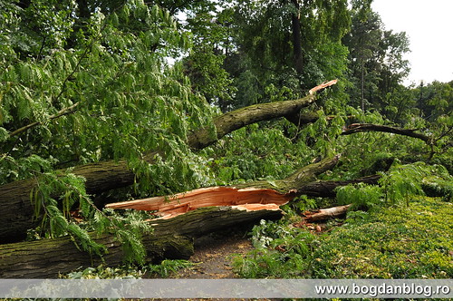 Furtuna in Botosani (bogdanblog.ro)