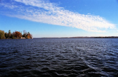 Judy's Lake View