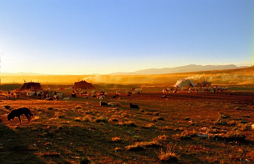 Paryang Nomads camp Tibet