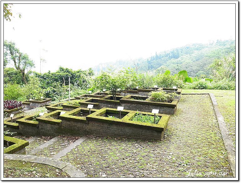 仁山植物園 (17)