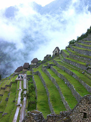 Peru - Machu Picchu-Terassen - so schön grün und stimmungsvoll