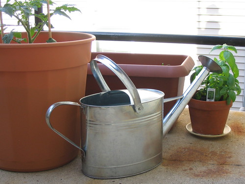 watering can and minigarden