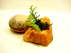 Iyo bonsai pot1-2