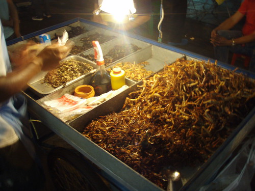 Deep Fried Bugs, Khao San Road, Bangkok, Thailand
