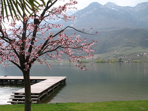 Frühjahrserwachen am Kalterer See mit Blick in Richtung St. Josef am See