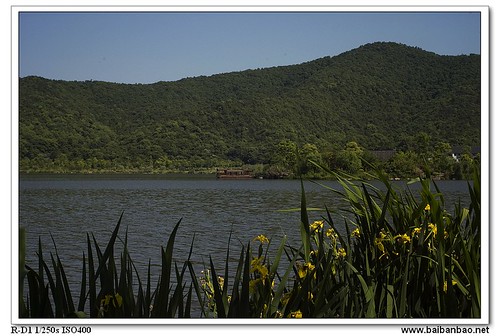xiang-lake-shuixian-7205