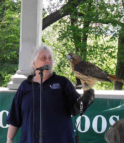 Theodore Roosevelet Sanctuary Hawk Talk