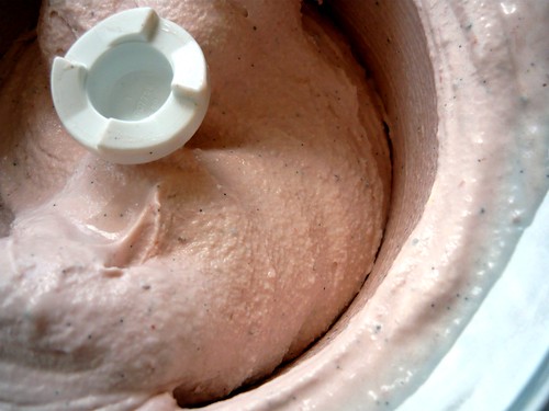 Strawberry-Vanilla Bean Ice Cream