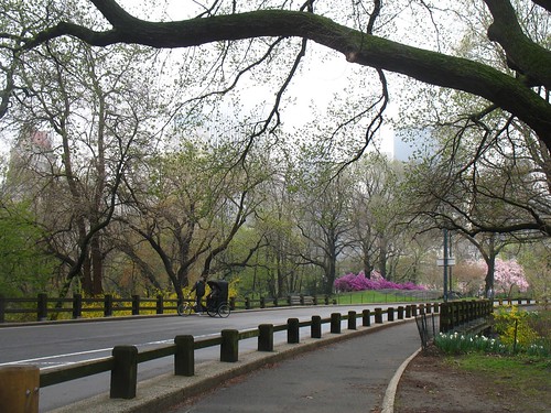 Central Park Pedicab