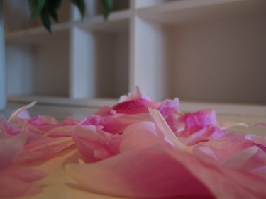 roze in huis