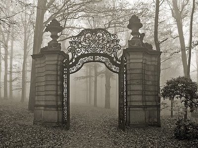 Misty gate