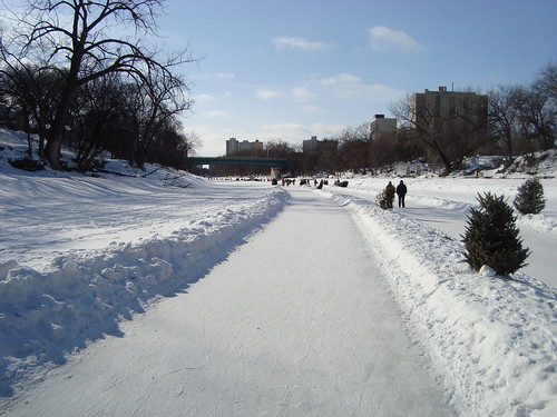 the Winnipeg river trail winds down the frozen Assiniboine River.