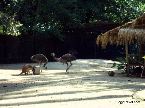 Zoo Negara