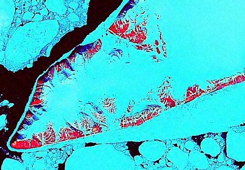 Bennet Island - Landsat Image N-54-75_2000 - A Partial View (1-44260)