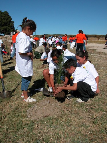 Children planting trees. 