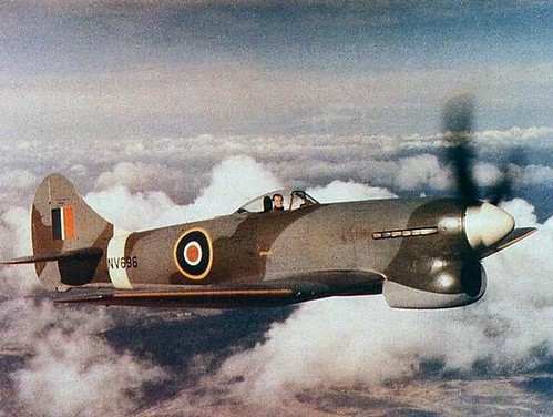 Warbird picture - DMP-D556 RAF HAWKER TEMPEST