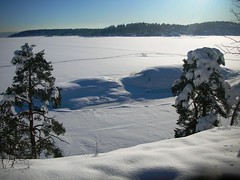 Snowy Winter Day in Norway #10
