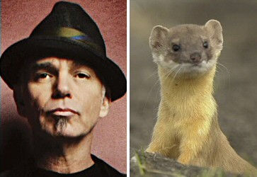Billy Bob Thornton - Weasel