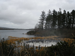 Roundwood Reservoir