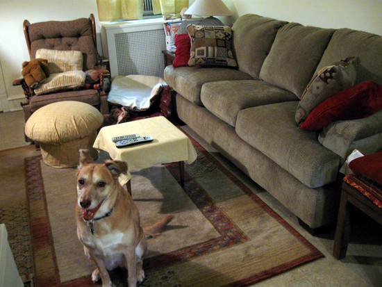 New Couch (Click to enlarge)