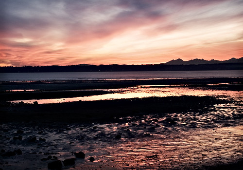 pink sunset at low tide