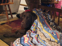 Dakota in her Blanket: Christmas 2007
