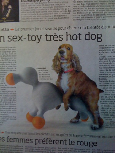 sex toy dog 