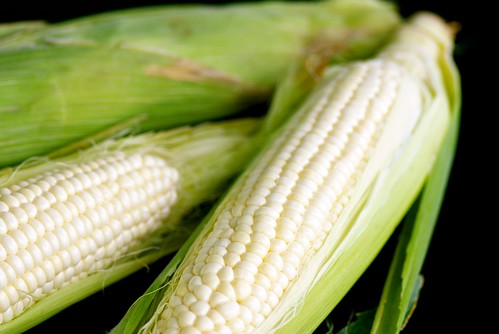 white sweet corn from Little Italy farmers market in San Diego