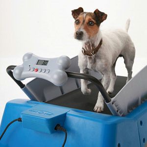 dog-treadmill-small, wireless pet fences, undeground dog fences, pet doors, batteries &amp; accessories, dod agility training equipment, dogs agility equipment, closed tunnel, agility closed tunnel, bar jumps, agility training equipment for dogs, tunnels clos by melamarsh