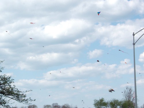 kites at the lakefront