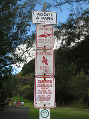 The entrance to the walk to Pali Lookout
