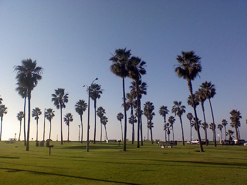 south mission beach
