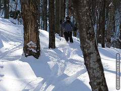 Vermont Backcountry Skiing Trails