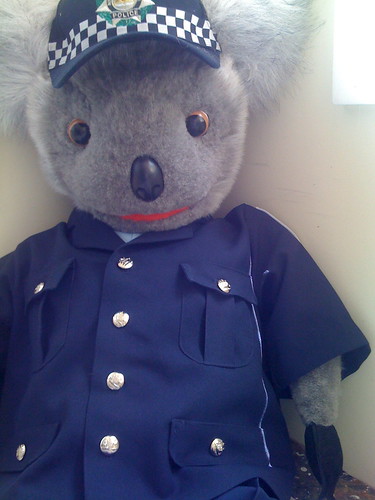 Kenny Koala