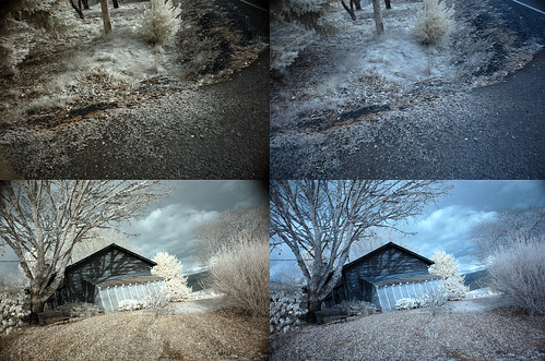 The image on the left was taken with two IR filters, and the image on the right was only taken with one.  Red/blue channel swapped as well.  Nikon D50 