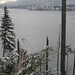 February 26 Snow in Stanley Park