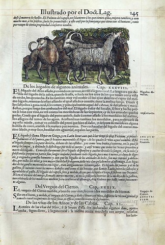 010-De los higados de algunos animales- Pedacio Dioscorides Anazarbeo 1555