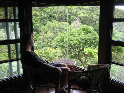 The Professor in our room at the Monteverde Lodge and Gardens