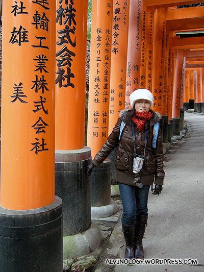 Walking through a long stretch of Torii
