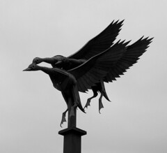Mallards In Flight Statue, Ross-on-Wye.