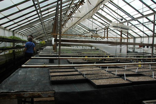 Propagation Greenhouse