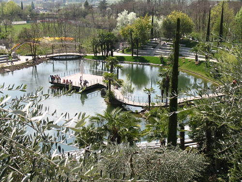 Der Teich mit seinen Fischen und den Palmengärten