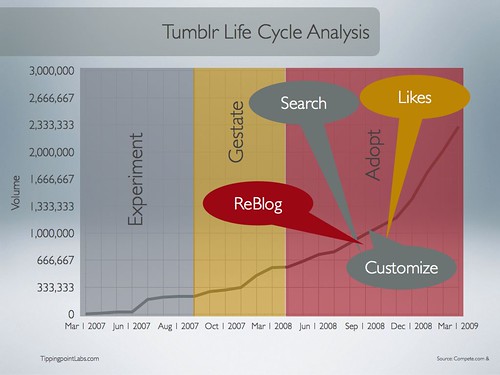 Tumblr.com New Media Life Cycle Analysis